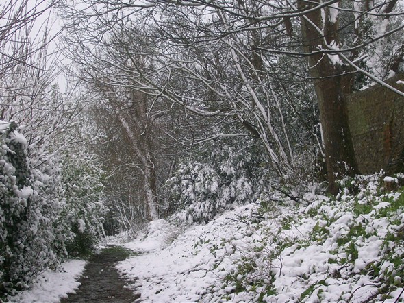 Photo: Illustrative image for the 'SNOW SCENES - Spring 2008  !!!' page