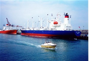 Photo: Illustrative image for the 'CARGO SHIPS  - 1990's / 2008' page
