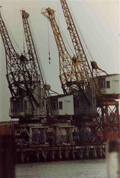 Photo:Cranes 1987