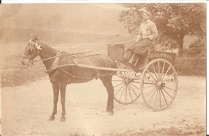 Photo:Alfred Hills with Baldwins deivery cart c1915