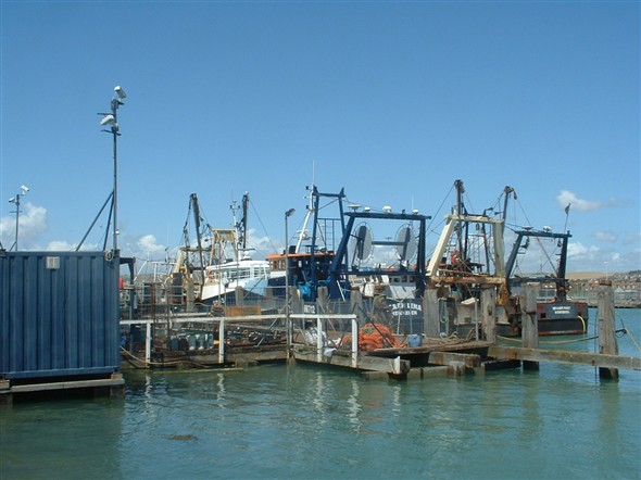Photo:Fishing Boats, the lifeblood of the harbour