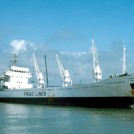 Photo:Frigo Europa from Spain built 1980 3,600 gross tons
