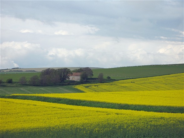 Photo: Illustrative image for the 'THE BEAUTIFUL SOUTH DOWNS ABOVE DENTON' page