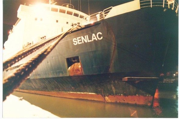 Photo:SENLAC UP CLOSE (Jan 1985)