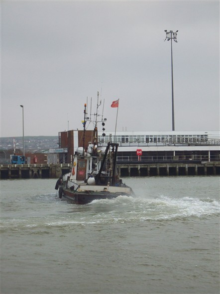 Photo:Surveying the Harbour - Jan 2009
