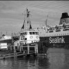 Page link: A FLOCK OF SEALINK SHIPS