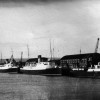 Page link: FULL HOUSE OF FERRIES FROM VARIOUS ERAS