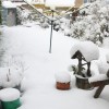 Page link: DECEMBER SNOWS - 2/12/2010