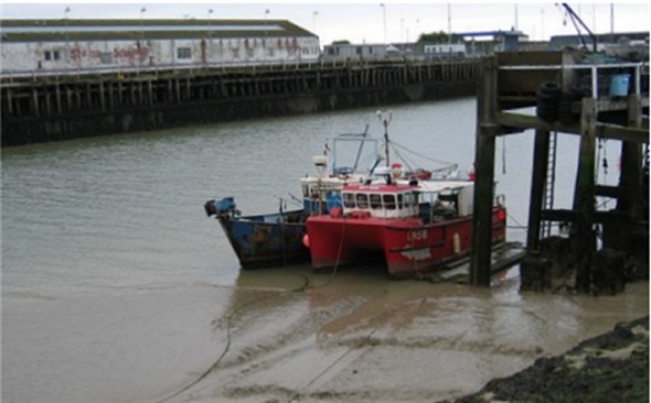 Photo: Illustrative image for the 'NEWHAVEN HARBOUR AT LOW TIDE MAY 2008' page