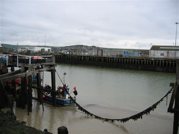 Photo: Illustrative image for the 'NEWHAVEN HARBOUR AT LOW TIDE MAY 2008' page