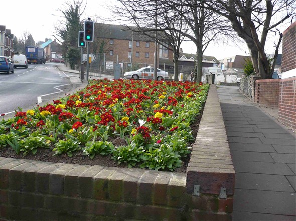 Photo:Town centre spring colours